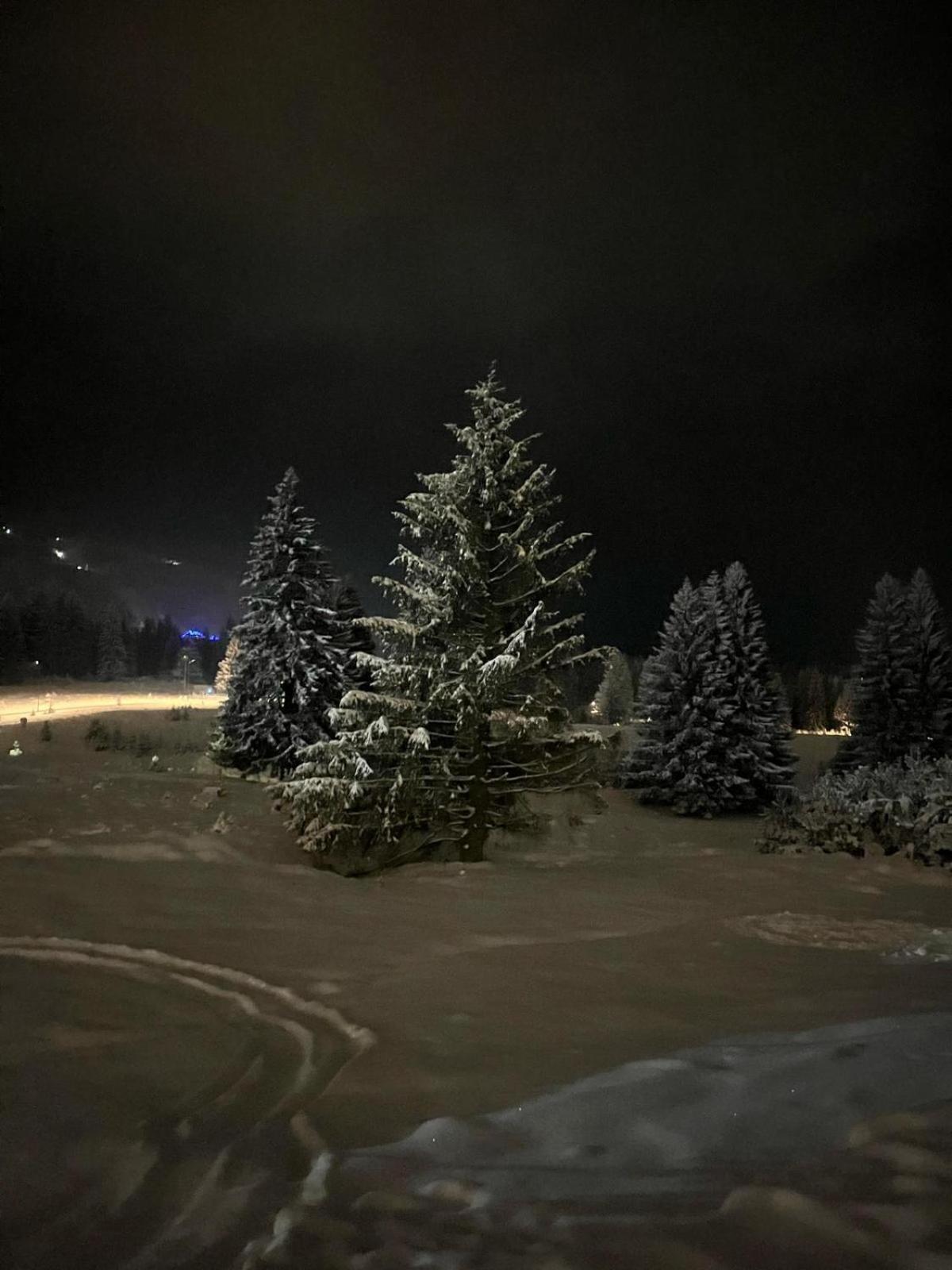 Cozy Retreat Grand * Brașov